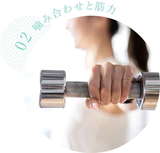 筋力アップとバランス感覚向上のためには噛み合わせが大事